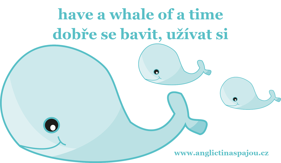 Have a whale of a time
