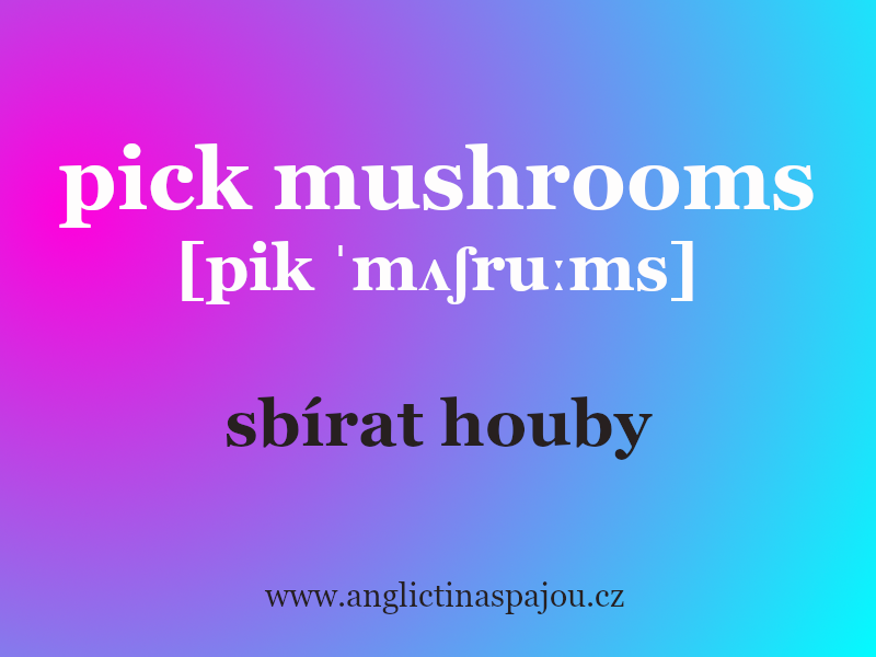 Pick mushrooms