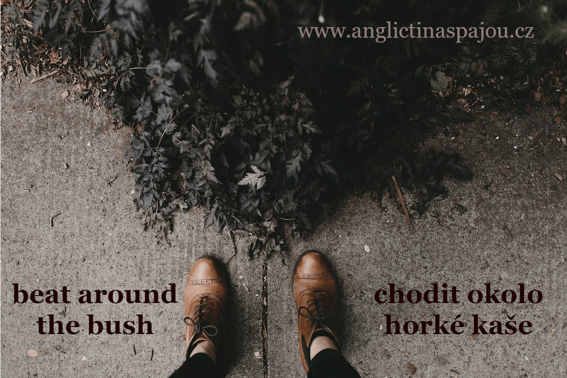 Beat around the bush