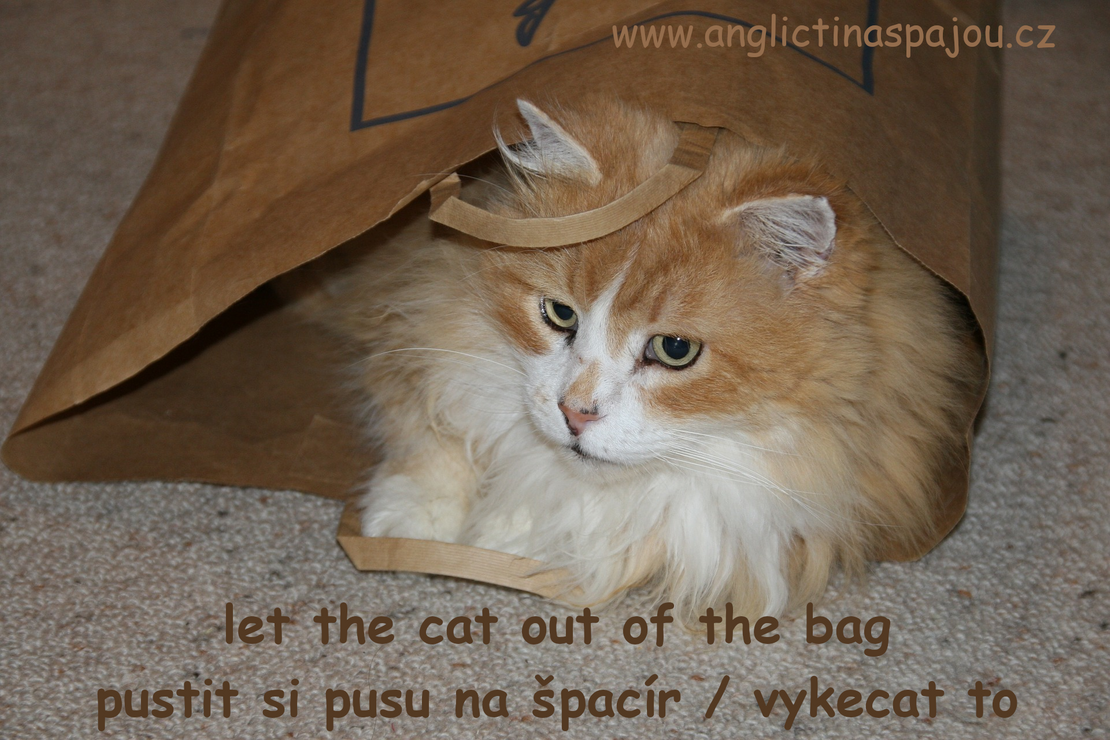 Let the cat out of the bag