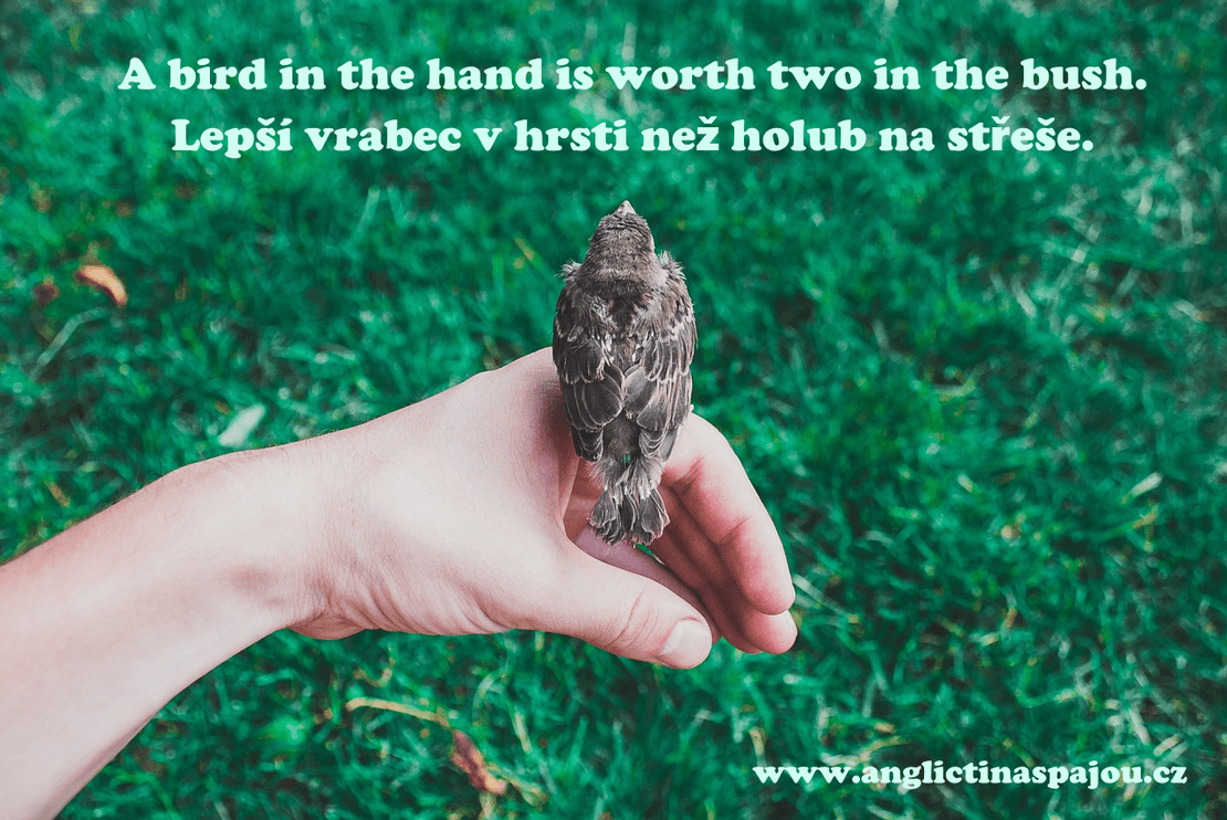 A bird in the hand is worth two in the bush